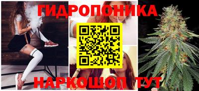 гидропоника Дубна