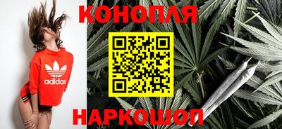 гидропоника Дубна