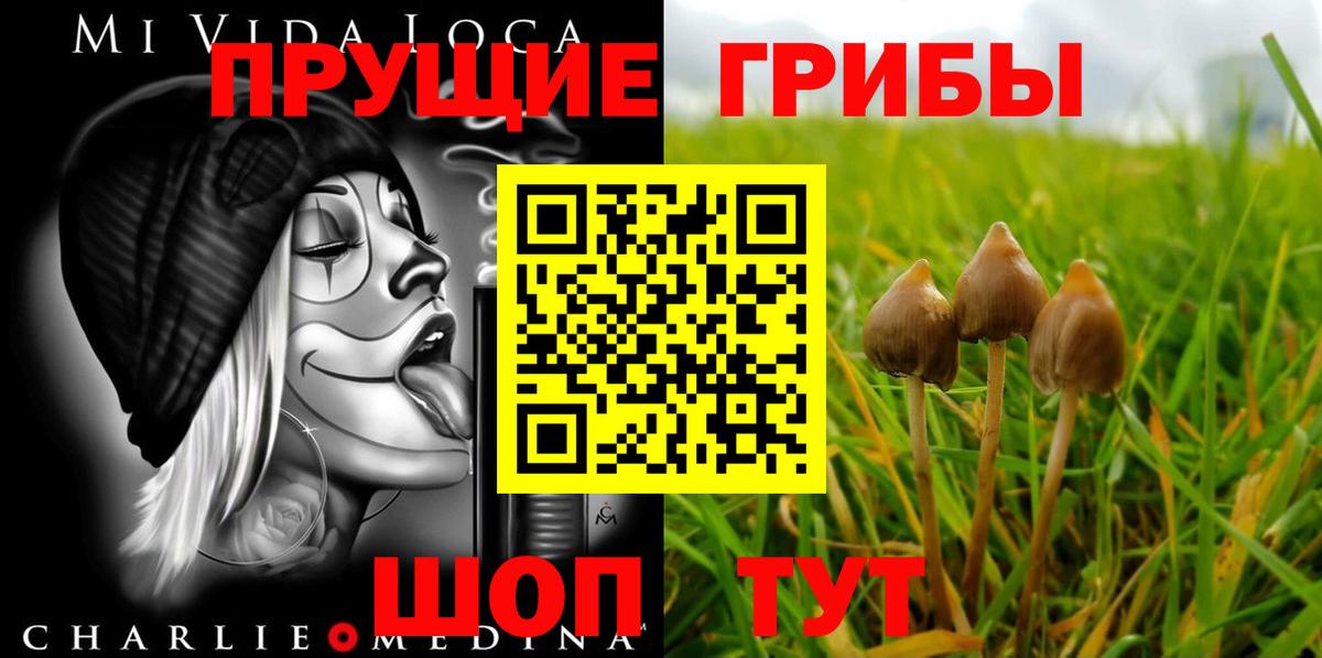 Галлюциногенные грибы Cubensis Норильск